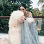 Vedika Pinto Instagram – A Cinderella moment feat. my benjiboo needy for luurrve 💎

Styled by @aakrutisejpal in @frontierraas and @mayasanghavijewels