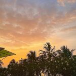 Vedika Pinto Instagram – An Interpretation of a Malady #gharperaho