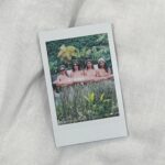 Vedika Pinto Instagram - @alannapanday’s birthday seemed like a fitting occasion to post this reel we’ve been sitting on for six months 🦦