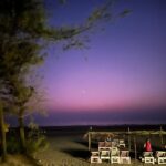 Vedika Pinto Instagram - life in technicolor
