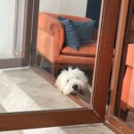 Vedika Pinto Instagram - life in technicolor