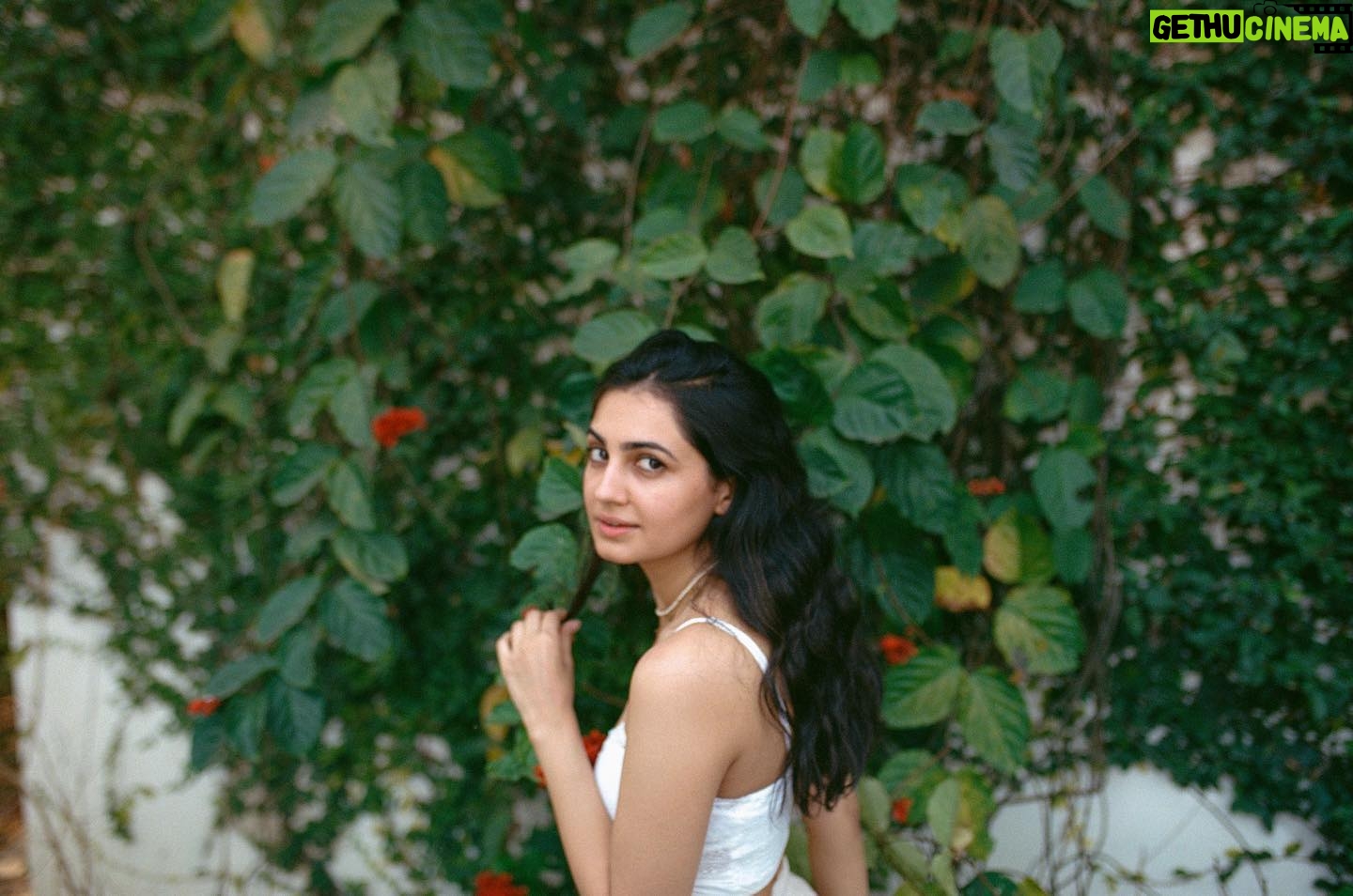 Vedika Pinto Instagram - @adityavarmaarts spent some of his film rolls on me 🥺