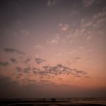 Vedika Pinto Instagram - life in technicolor