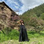 Vedika Pinto Instagram - ituvana / इतूवाना the forest / ultimate bliss