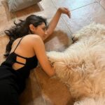 Vedika Pinto Instagram - The most special welcome from the most special boy 🥺 #goldendoodle #goldendoodlesofinstagram #benji #goldendoodlesofinsta