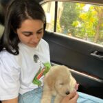 Vedika Pinto Instagram – Sir Benjamin of house hardly-a-canine. Consumer of alltheattentionintheworld and reigning waster of time 👑