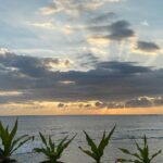 Vedika Pinto Instagram – the sky has been putting on quite a show lately #sunsetmusing #sunrisechasing