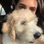Vedika Pinto Instagram – Sir Benjamin of house hardly-a-canine. Consumer of alltheattentionintheworld and reigning waster of time 👑