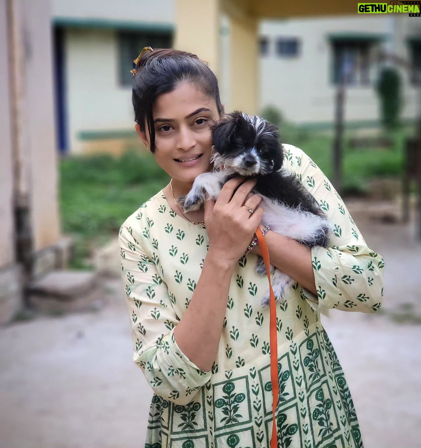 Veena Ponnappa Instagram - @veena_ponnappa_vnaa 🫶 #veena #veenaponnappa #sandalwood #kannadaactress #puppylove #serials #puppymoments #kannadaserials #vacation #teluguserials #telugu #reelsinstagram #actor #actorlife #puppy #kannadaactor #petlove #beingrudrani #happyme #nammamysore #travel