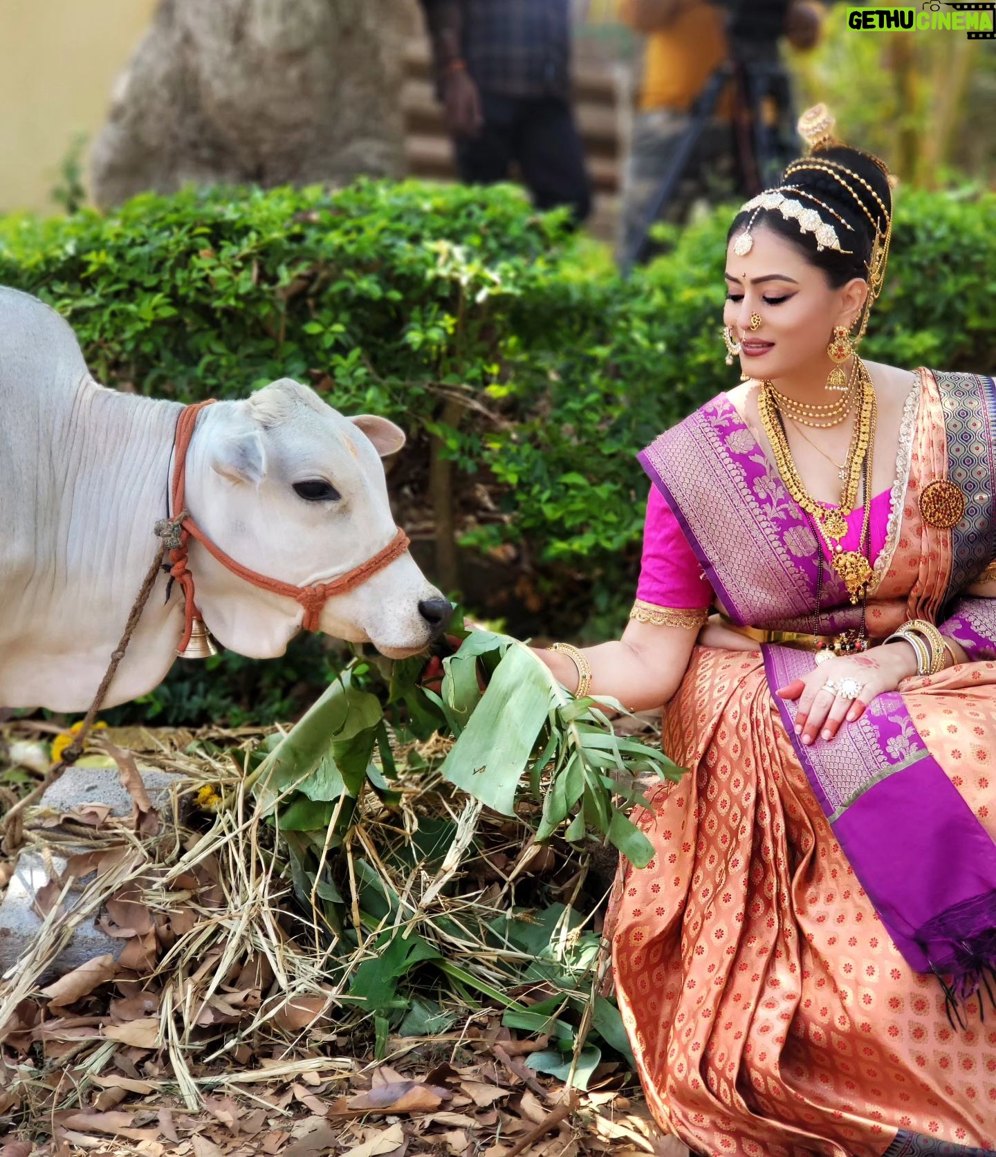 Veena Ponnappa Instagram - @veena_ponnappa_vnaa β£οΈππ #veena #veenaponnappa #sandalwood #kannadaactress #cowlove #serials #kannukutti #kannadaserials #cow #teluguserials #starmaa #reelsinstagram #actor #actorlife #cattle #kannadaactor #petlove #mangaladevi #happyme #udhoudhosrirenukayellamma #shootmode