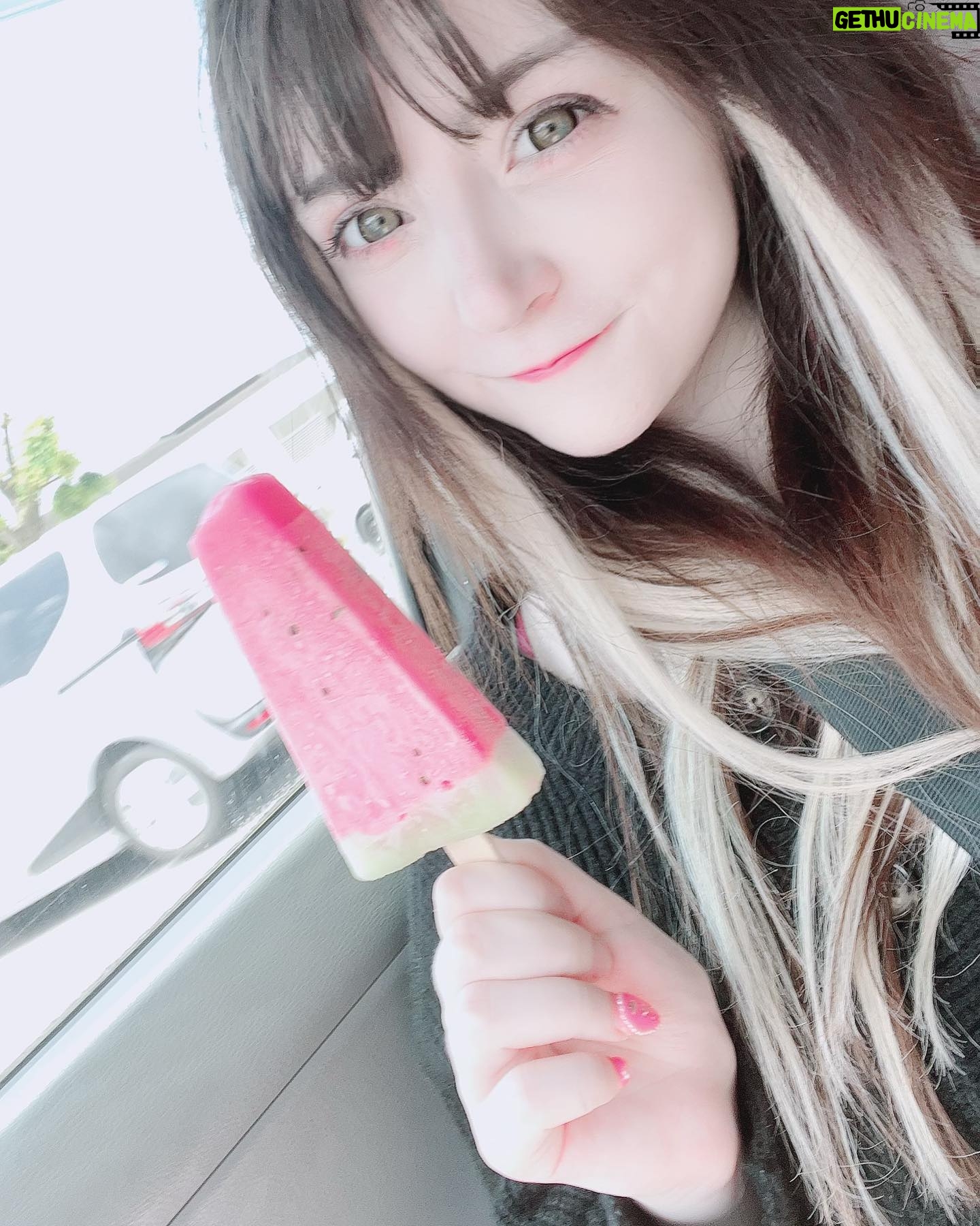 Venus Palermo Instagram - Never let Venus eat ice cream in your car