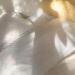 Verónica Bravo Instagram – Piernas libres.