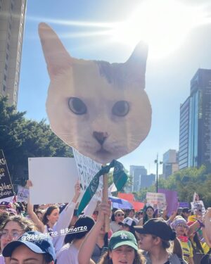 Verónica Jaspeado Instagram - 8 de marzo 2024 
Fortaleciendo la lucha por la igualdad de género 💜🇲🇽
#8marzo #mujeres #marchademujeres #mexico