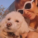 Verónica Macías Instagram - #amigo #perrito #perro #mascotas