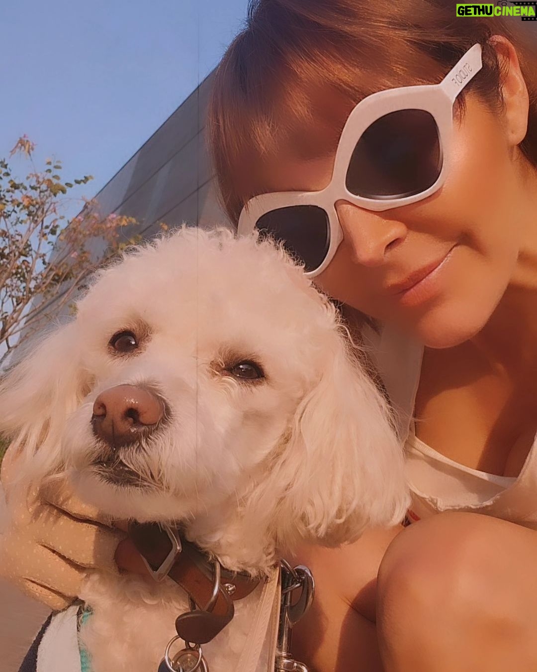 Verónica Macías Instagram - #amigo #perrito #perro #mascotas