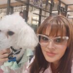 Verónica Macías Instagram – Lo amo🐩💕

Lentes @consultoriovisual