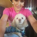 Verónica Macías Instagram - A dog as a best friend 🐶❤️🐩❤️ Is your dog one of your best friends?