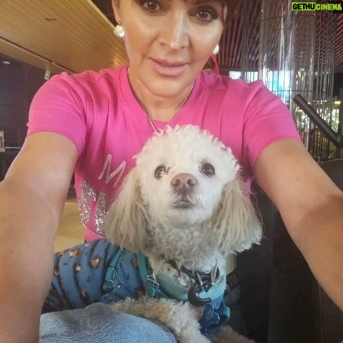 Ver贸nica Mac铆as Instagram - A dog as a best friend 馃惗鉂わ笍馃惄鉂わ笍 Is your dog one of your best friends?