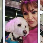 Verónica Macías Instagram - Mi terapia antiestrés...pasear con mi perrito Cottage 🐶🐩