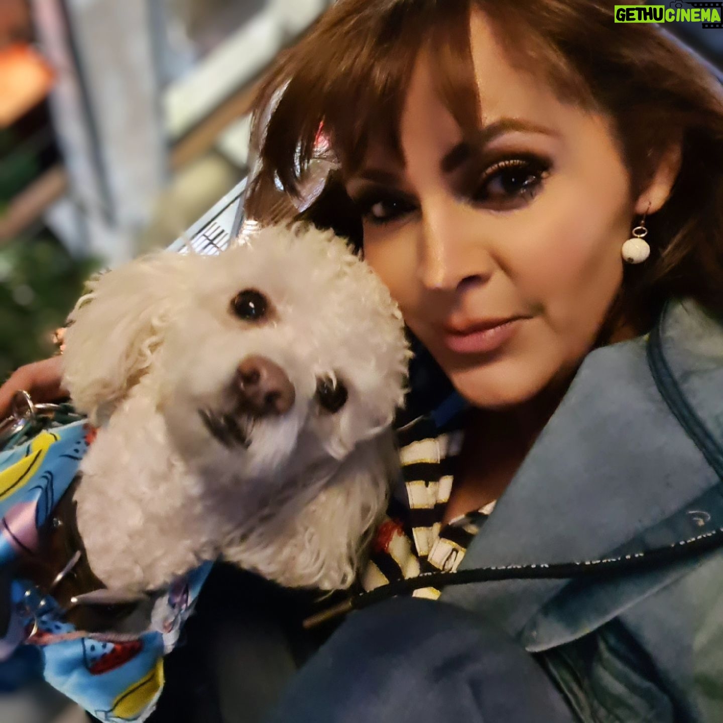 Verónica Macías Instagram - ¿Tienes perrito? #perrito #perro #puppy #perros #perritos
