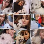 Verónica Macías Instagram - Mi amigo, mi compañero, mi perrito, mi bebé, mi mascota, amo a mi Cottage #perrito #perro #mascotas 🐶 ¿Tú tienes perrito?