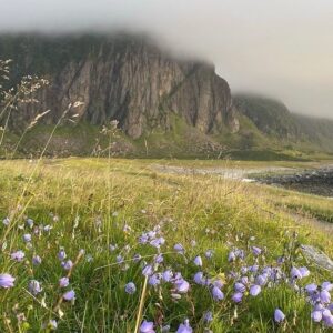Veronika Khek Kubařová Instagram - PANORAMA• ta krása je tak obrovská a všude kolem, že jinak fotit nejde• 🇳🇴

#fallinlove