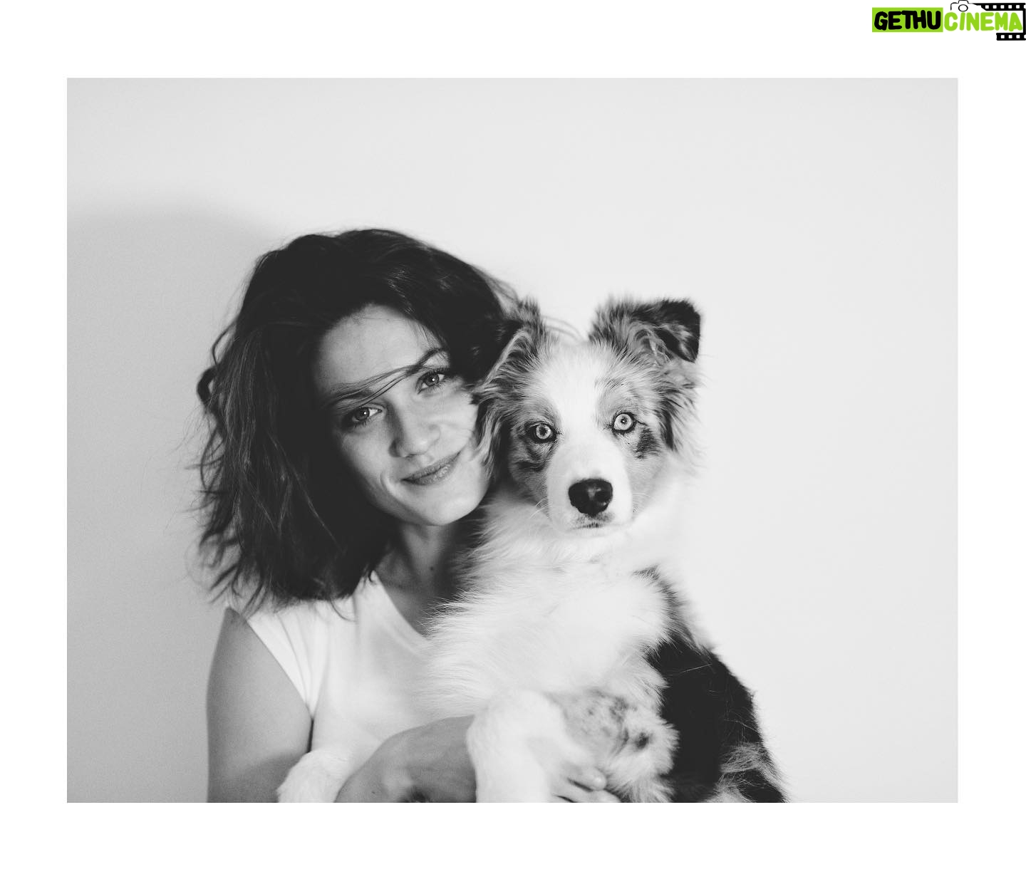 Veronika Macková - 1.8K Likes - ❤️ 🥰
#portrait #actresslife #aussie #australianshepherd #cute #dog