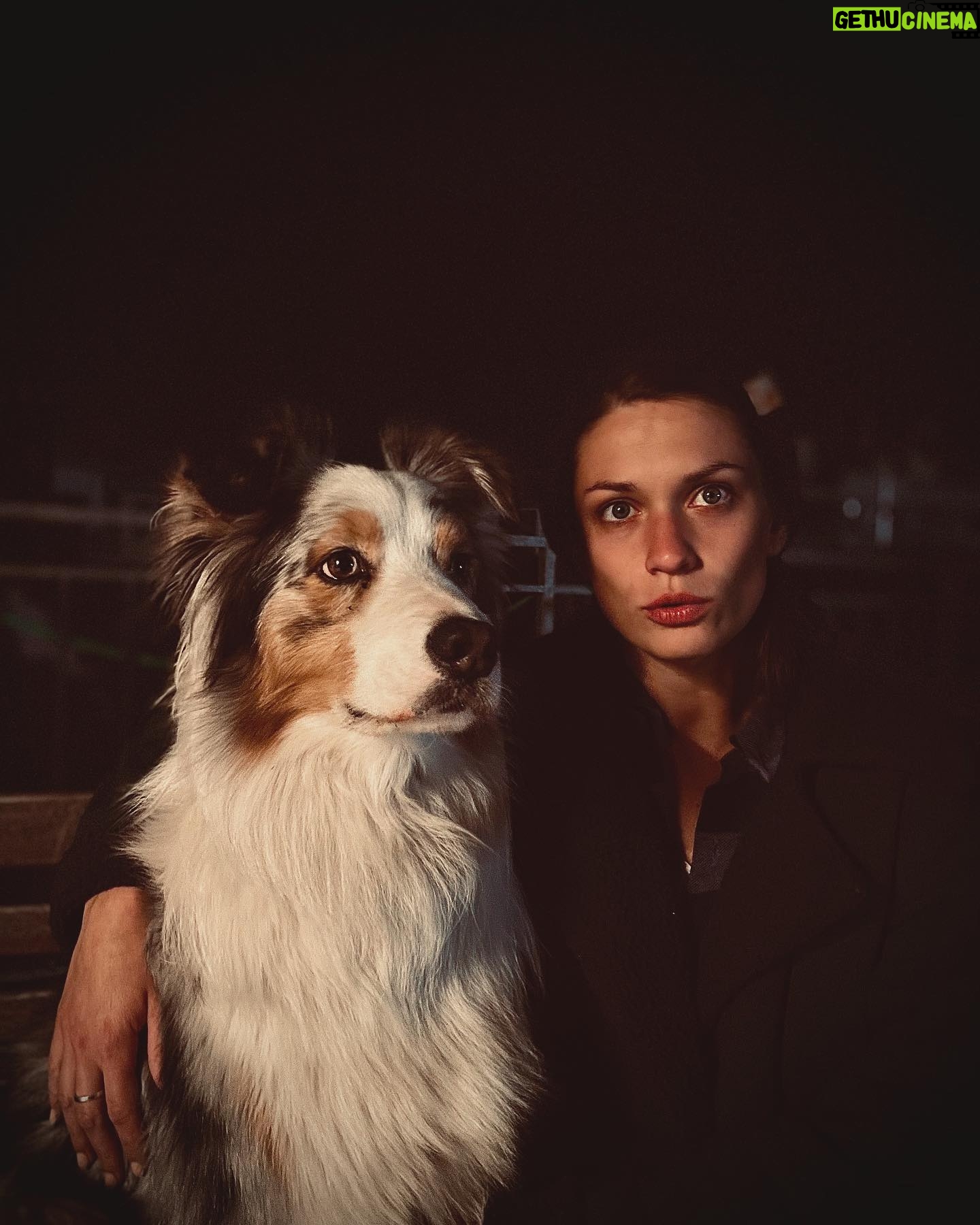 Veronika Macková - 2.5K Likes - Já vím, že každý pejskař má toho svého nejlepšího a nejkrásnějšího psa na světě💕
Ale @joeytribbiani_aussie JE prostě nejbožejší božan na světě🧡 a mluví 🥹🤪
#aussie