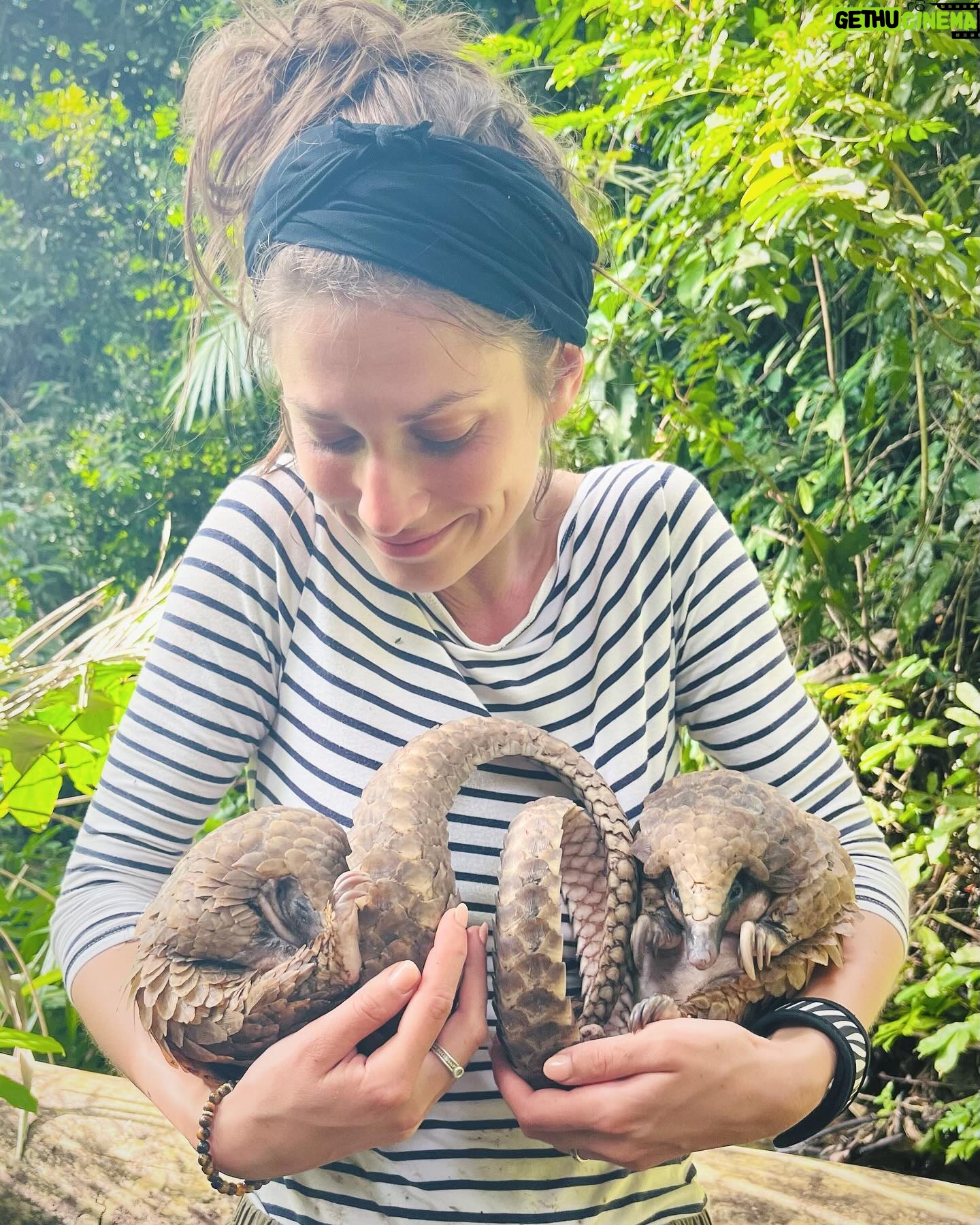Veronika Macková - 2K Likes - Dnes je Den ohrožených druhů (Endangered species day), který nám připomíná důležitost ochrany zvířat a jejich přirozeného prostředí. 🙏
💕A tak bych všem (ohroženým) nevinným dušičkám v jejich domovech chtěla popřát, aby se stále našlo víc a víc lidí, kteří za ně budou bojovat, aby nám nezmizeli navždy. 🍀 Bez nich by to nešlo!
A jsem vděčná všem druhům za setkání, snad ne naposled. Jsou moje energie 💕🙏