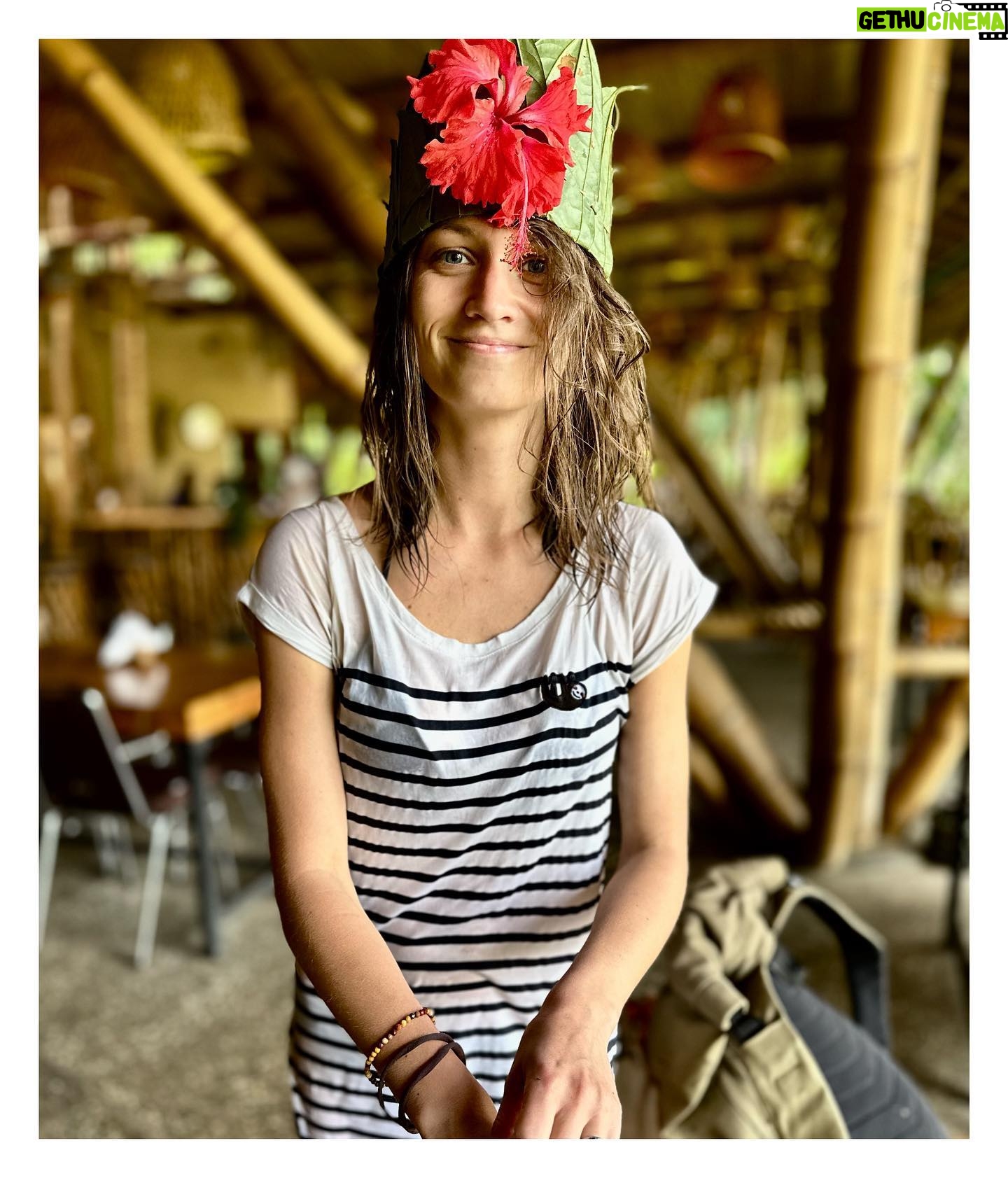 Veronika Macková - 2K Likes - Les zvířata=Měsíček na hnoji
🇮🇩
📸@cermakhynek