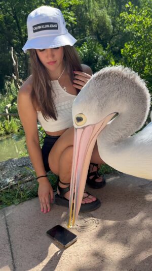 Veronika Zajícová Instagram - Wait, I got slapped at the end😳😄
•
•
•
•
•
#pelican #slap #eatmyphone #crazy