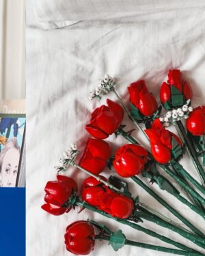 Veronika Arichteva Instagram - Květiny LEGO aneb Jak se proskládat dvěma dny v únoru. 

Bála jsem se, že tuhle spolupráci budu tvořit po nocích třeba měsíc, ale tak mě to chytlo, že jsem nedělala nic jinýho, než si od rána do noci skládala designovou dekoraci do vily, co neuschne. To je tak skvělý! A tak hezký. Nemohla sem přestat. Klidně bych složila celej záhon. 
Lukovi, ač nerada, jsem musela svěřit stonky. 
Ježiš, to byl klid doma. Mohl by s tím na mistrovství. 

Mám tu 2 krabice LEGO “BOTANICAL COLLECTION” a chci je někomu věnovat, ať se taky zrelaxuje. 
Takže vyhlašuju SOUTĚŽ : 

1. LAJKNI TENHLE PŘÍSPĚVEK
2. OZNAČ DO KOMENTÁŘE NĚKOHO, komu by taková kytka z lásky, která vydrží navždycky, udělala radost (Můžeš dát i víc komentářů a tím pádem označit víc lidí)

18.2. vylosuju 2 VÝHERCE

#lego #LegoFlowers #DarujLasku #spoluprace #legobotanicalcollection
#designinterier #design

DOSOUTĚŽENO