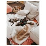 Veronika Arichteva Instagram - Od středy jsem hudrovala a připravovala všechny, že v sobotu bude velkej úklid a přípravy. Nebude. Neděláme vůbec nic. Jenom jsme spolu! Koukáme na pohádky, válíme se, půjdem na procházku, cokoliv, co budou chtít ty naši kluci dělat. To je to nejdůležitější. Štve mě, že si to člověk dycky zase a znovu uvědomí až ve chvíli, kdy se děje něco strašnýho. Ach jo. Opatrujte se.