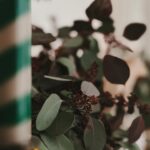 Veronika Arichteva Instagram - Ještě hezčí než v mejch představách… Ten vánoční čas v našem DOMA. Přesně kvůli tomuhle jsem chtěla krb. Velkej krb. Aby tam byly punčochy a živá girlanda, svíčky, prostě všechny ty krásný vánoční kýče. Tak a teď shánět dárky, dopi*e . Krb máme od @krby.style Za girlandu děkuju nejšikovnější @zuzana_iconioo
