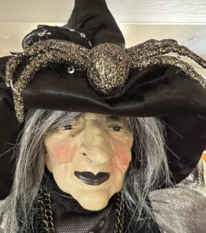 Vicki Lawrence Instagram - I name all my #Halloween witches…I think I will call her Camilla, or Queenie🤷‍♀️because, well…don’t you think?? I know some of you will get mad at me but, c’mon…seriously!?