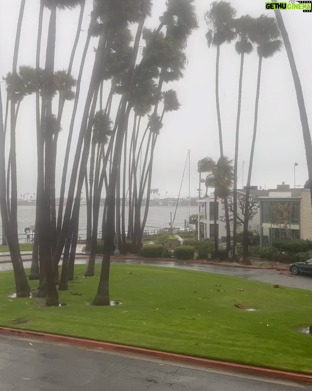 Vicki Lawrence - 5.2K Likes - Tropical rain, crazy wind, earthquake. Typical Sunday in #socal 😂