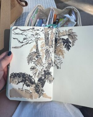 Victoria Ying Instagram - Poolside sketching. I love carrying my sketchbook around to capture small moments of beauty 
.
.
.
#travel #travelsketch #sketchbook #sketchbookdrawing #sketchbookshare #tombow #santabarbara