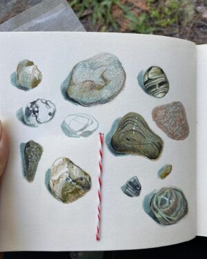 Victoria Ying Instagram - Reposting these illustrations of rocks and pebbles found at the lake in Montana. #montana #bulllake #natureillustration #watercolor #coloredpencil #prismacolor #sketchbook #travelsketchbook #travelsketching #travelartist #travelingartist