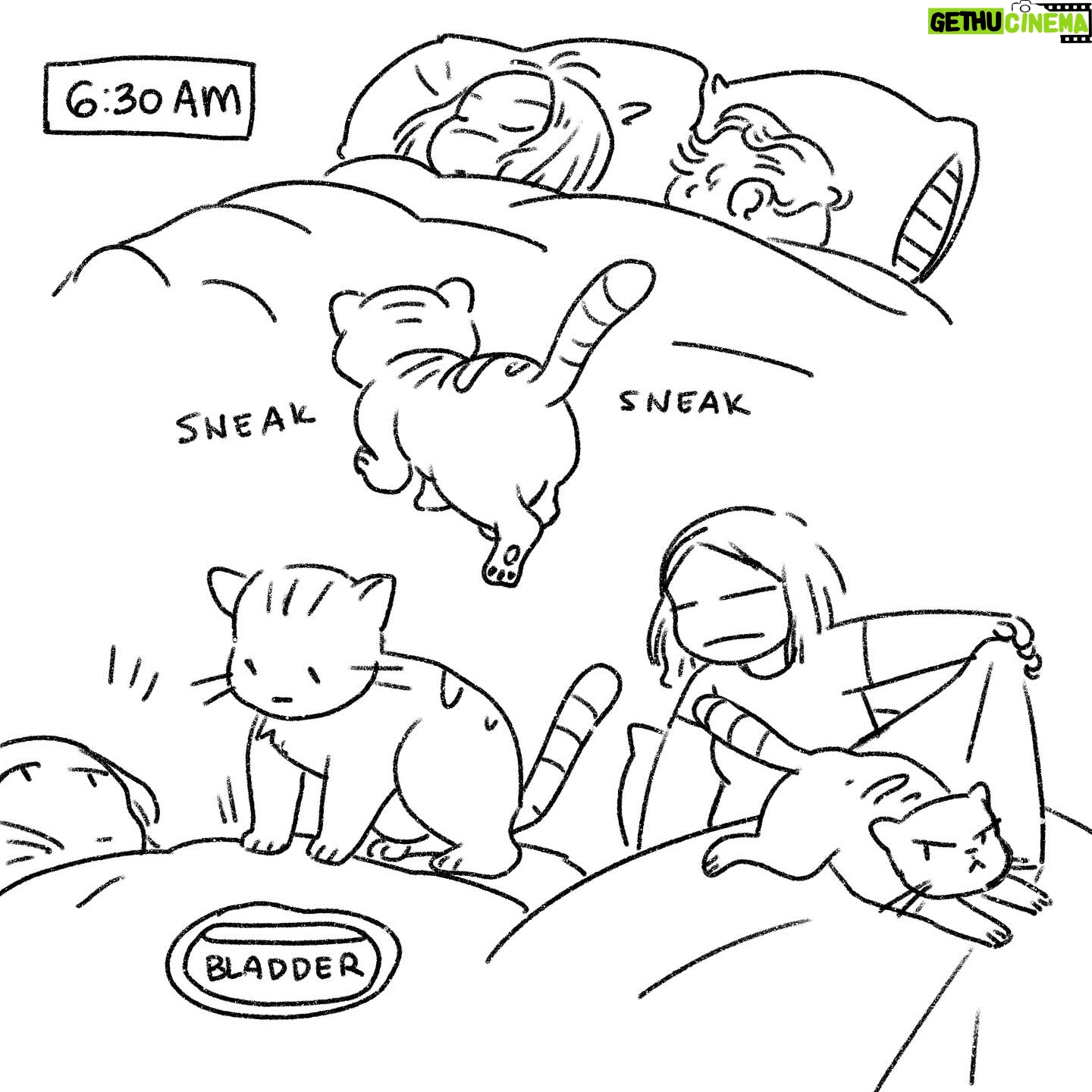 Victoria Ying Wiki Biography Age Gallery Spouse And More