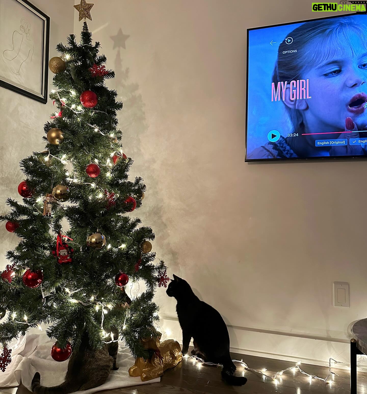Victoria Charlton Instagram - Premier Noël avec des chats 🐈⬛🐈 . Dernier Noël en appartement🎄