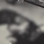 Victoria Charlton Instagram - Le Meurtre BRUTAL du mannequin de Toronto Christine DEMETER ❤️‍🩹 Voyez la vidéo complète de 1h30 sur ma chaîne YouTube!
