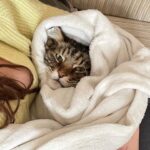 Victoria Martín Instagram - Muchas gracias a @holacom por haber llevado a cabo este reportaje tan bonito. Y por reflejar tan fielmente lo feliz que me siento dando el pecho al pequeño José Antonio. Comentadme si se os parece más a papá o a mamá. PD: el parto no me dolió NADA. Fue tan rápido que no me dio tiempo ni a quitarme las mallas de pilates. Me lo pasé GENIAL!!!!! 🌟🌟🌟