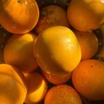 Victoria Moroles Instagram - hobbies include: Citrus BTW @foodforward is the coolest food recovery organization and if have or know of any uncollected fruit near your home or in your area check them out 🍊