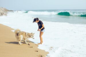 Victoria Moroles Instagram - just heard it was my best wolf friend’s birthday today so this is my Luna appreciation post 

@catielaffoon 📸