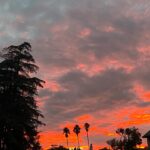 Victoria Moroles Instagram - the Sun and Moon made big appearances in 2023, very thankful for their collaborative efforts. Looking forward to what they bring this year.