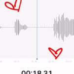 Victoria Moroles Instagram – The final episode of BTH is out today (link in bio) you can binge listen the entire series (for free) wherever you get your podcasts! Thank you to everyone who has listened so far, I was a huge fan of narrative podcasts before I did this so it was a honestly a pipe dream to work with @qcodemedia. Everyone involved made this world so FUN to listen to! S/O to @january__george for creating this little beast 🌝 & @w.s.bsly for badass Zoom directing! Also @gus_birney, @sofiabryantofficial, @sivanalyrarose & @itsreallychy absolutely SLAY (literately) I’ve so enjoyed listening to their voices every week. Until next time, keep doing your damn FANG!