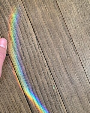 Victoria Moroles Instagram - “Okay kids! This is it!! It’s your moment to shine! Make me proud, stretch those leaves and show everyone what a little forest you’ve become!! You even created a rainbow! Or wait, that was the sun ... but you ARE magic! Don’t let anyone tell you otherwise.”