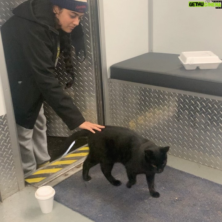Victoria Moroles - 13.4K Likes - Dropping some animal love on the feed because it’s been a long week and I look at these and smile. a little sneak at the end of one of our animal friends on set who fell in love with Ku & her warm jacket 🐱 happy Friday.