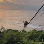 Victoria Spence Instagram - I'll forever be the kind of girl who falls in love with every sunset 🥹🌅🌊🌺 The final Bali sunset was special! I haven't felt this at peace in my heart and mind for a while and I'm feeling so so grateful for it all! 🙏🏼 Swipe to the end for the BEST sunset surprise 😭 #sunset #bali #bestfriend