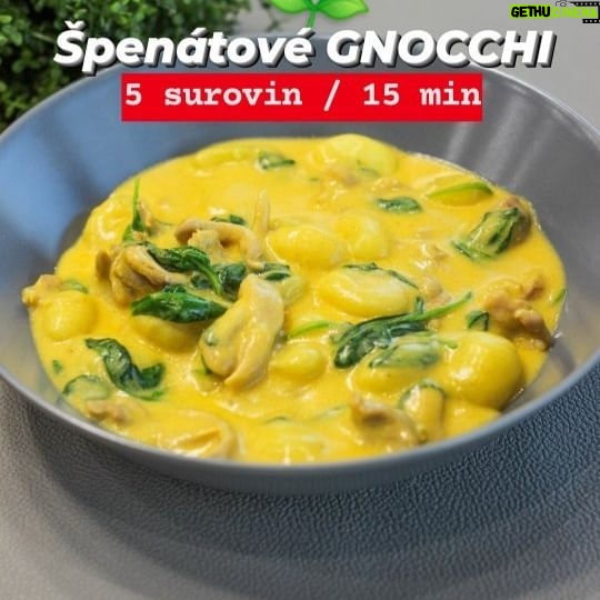 Viktorie Hrazdílková Instagram - Jaké rychlé jídlo je populární v tvé rodině? ❤️😋 BLESKOVÉ GNOCCHI 👨🍳👩🍳👌 🌱 1 balení gnocchi 🌱 500g kuřecího masa 🌱 1 PL česnekovo-dýňové Bujónky 🌱 1 smetana na vaření (200ml) 🌱 100g čerstvého špenátu Postup: Kuřecí maso nakrájej na nudličky a dochuť česnekovo-dýňovou Bujónkou. Následně maso orestuj na pánvi, přidej gnocchi, zalij smetanou na vaření, provař 5 minut, vypni plamen a přidej čerstvý špenát. Zamíchej a podávej 😋👩🍳👨🍳❤️. Recept vznikl ve spolupráci s mým milovaným @balicekzdravi.cz kdy na jejich eshopu nakoupíš do 21.1. s kódem: VIKI s -15% slevou všechny Bujónky ❤️. Baví tě mé recepty?👩🍳 Podpoř mou tvorbu ❤, sdílením a milým komentem 🥰. Chceš mít mé rychlé FIT recepty přehledně a pohromadě? Objednej si mou kuchařku jen za 149 Kč na webu 𝗳𝗶𝘁𝘃𝗶𝗸𝗶.𝗰𝘇 👩🍳📖😋 Nutriční hodnoty 1 porce (1/4) B: 32,25g S: 47,25g T: 9,98g 408 kcal #rychlejidlo #gnocchi #zdravejidlo #vecere #foodhack #dinner #dnesvecerim #spenat #zdravevareni #czechgirl #zdraverecepty #jedlo #jidlo #zdravejedlo #healthyfood #dnesjim #dnesjem #fitnessjidlo #foodblogger #foodlover #inspirace #hubnuti #motivace #czechfitnessgirl #fitnesscz #vareni #bujonka